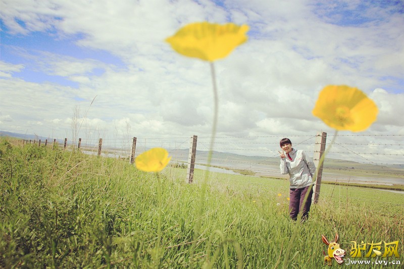 hulunbeier 665_����.jpg