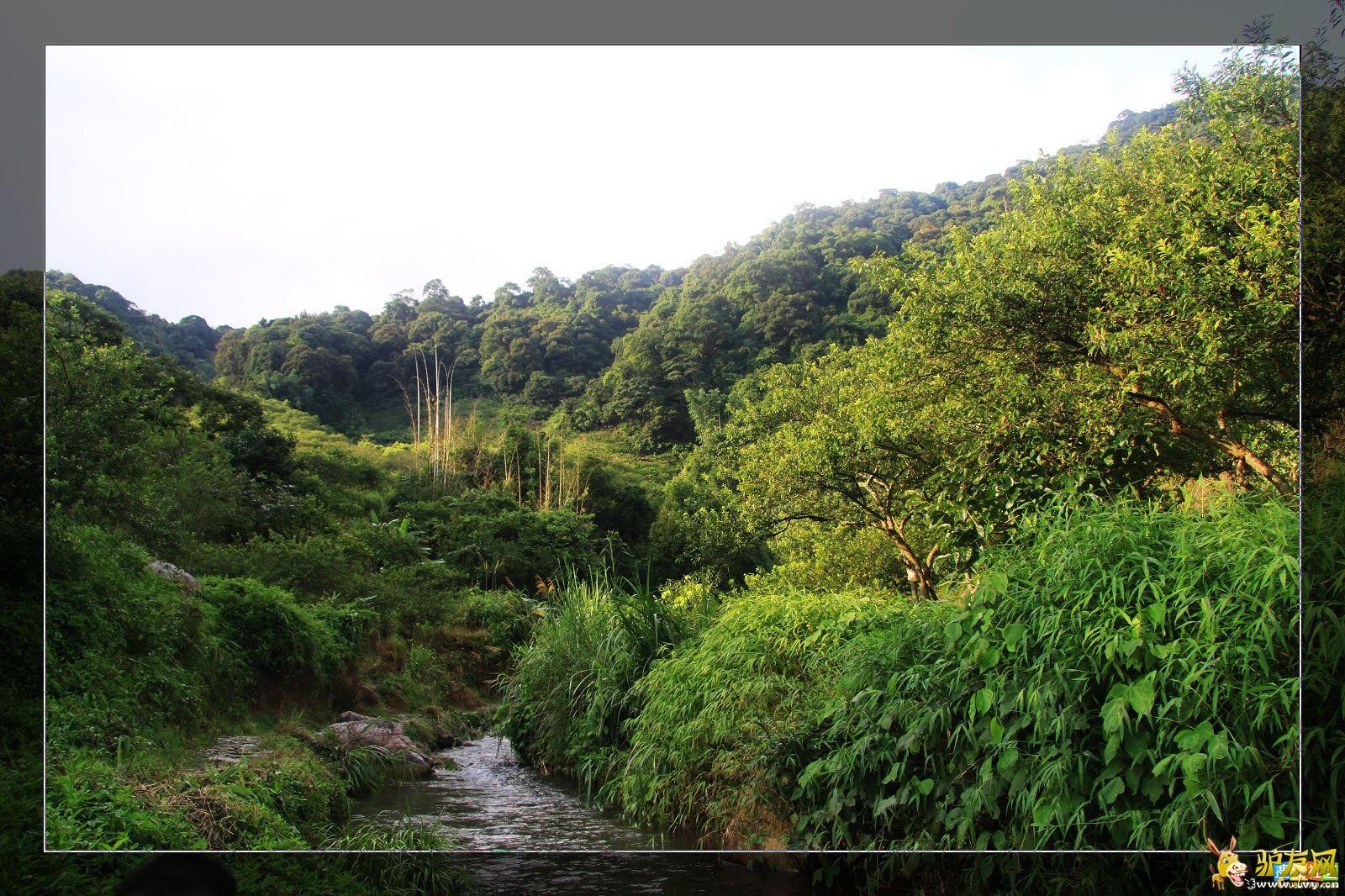 gdsohue1943e90be3b5204 - ����.jpg