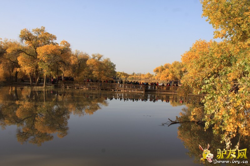 psb (21) - ����.jpg