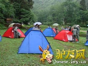 ���� u=4267736907,987187978&amp;fm=21&amp;gp=0.jpg