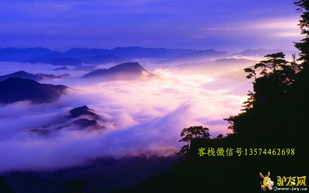 5_���� ΢�ź�.jpg